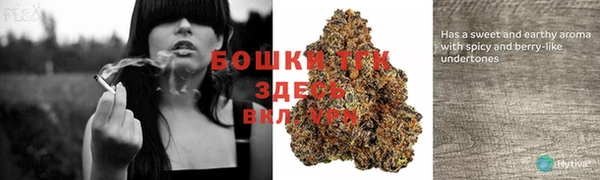 а пвп мука Абаза