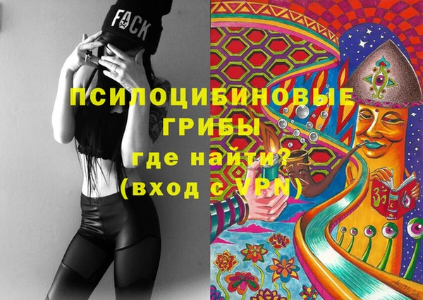а пвп мука Абаза